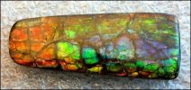 AMMOLITE DESIGNER CABOCHON (Canada) � 9.29 ct.